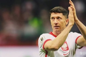 爱游戏官方入口-德国队引发争议！，莱万多夫斯基官方宣布战术调整新规引发球迷热议的简单介绍